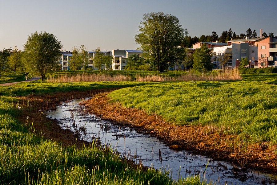 A ditch in Pikku-Huopalahti park