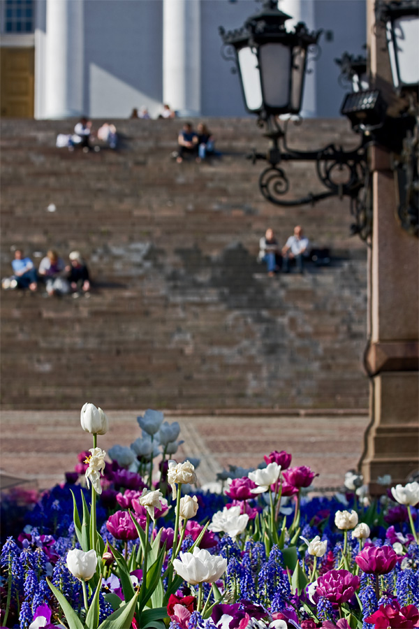 Planted flowers at Alexander II:n statue