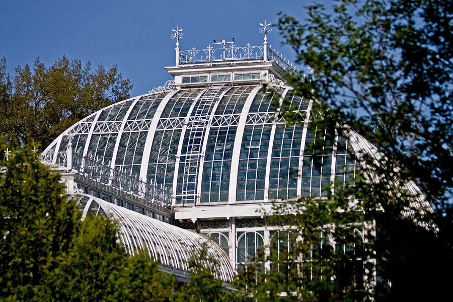 A greenhouse at the botanical garden