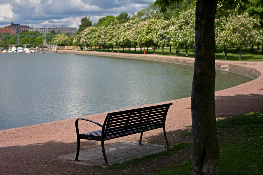 A bench at Tokoinranta