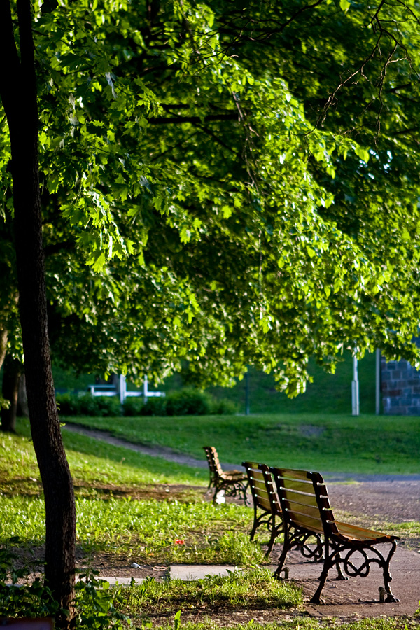 Benches at a park