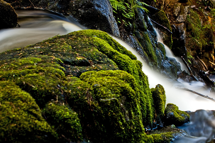 Korkeakoski rapids