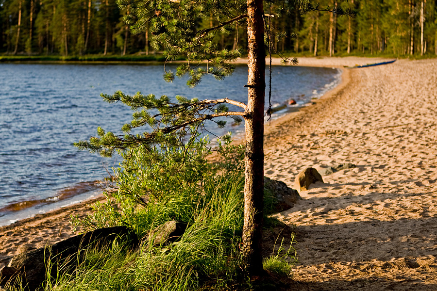 Venjnhiekka beach at Tiilikkajrvi national park