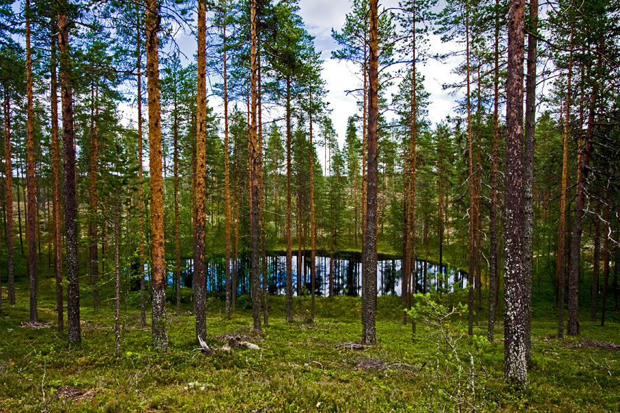 A kettle along Saramontie road