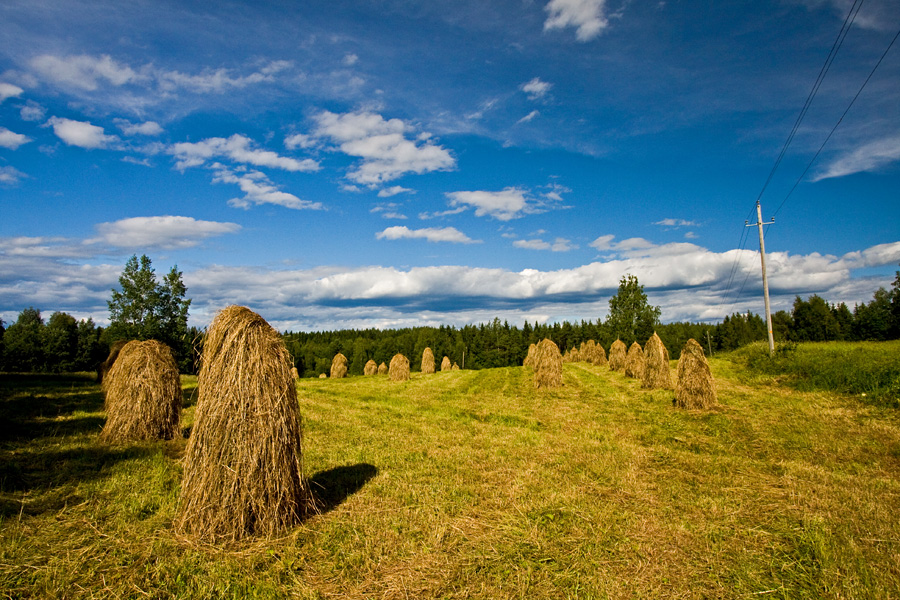 Haystacks
