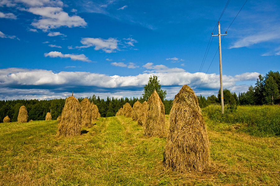 Haystacks