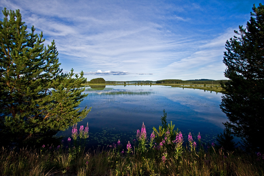 Lake Pudasjrvi seen from Ruunaantie road