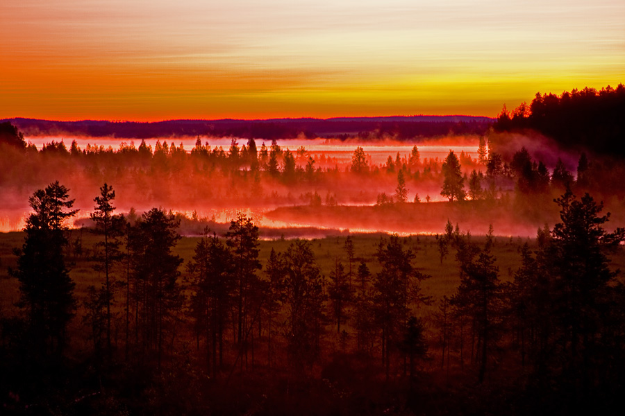 The foggy Ulkkajoki flows to Pankajrvi lake