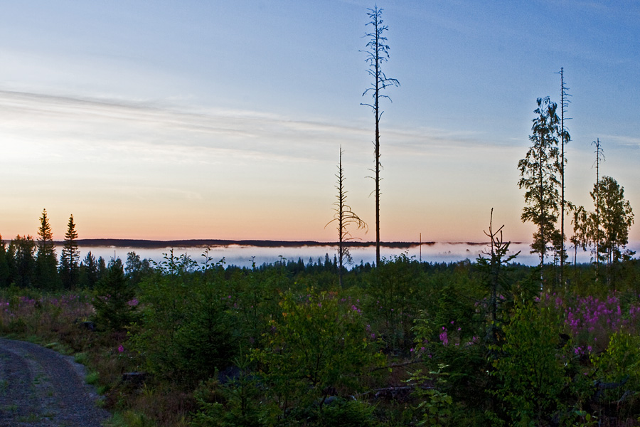 Fog on Lieksajoki river