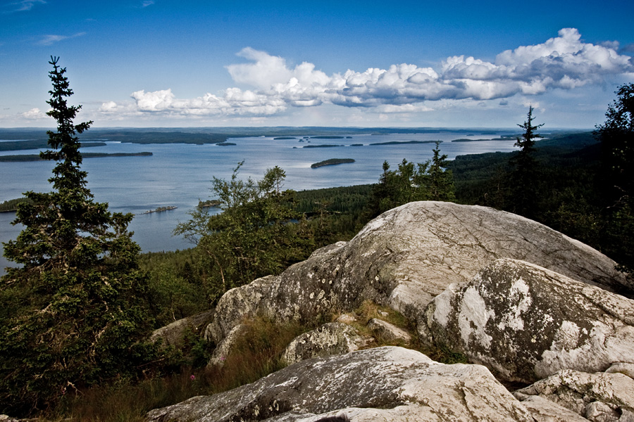 A view from Ukko-Koli to lake Pielinen