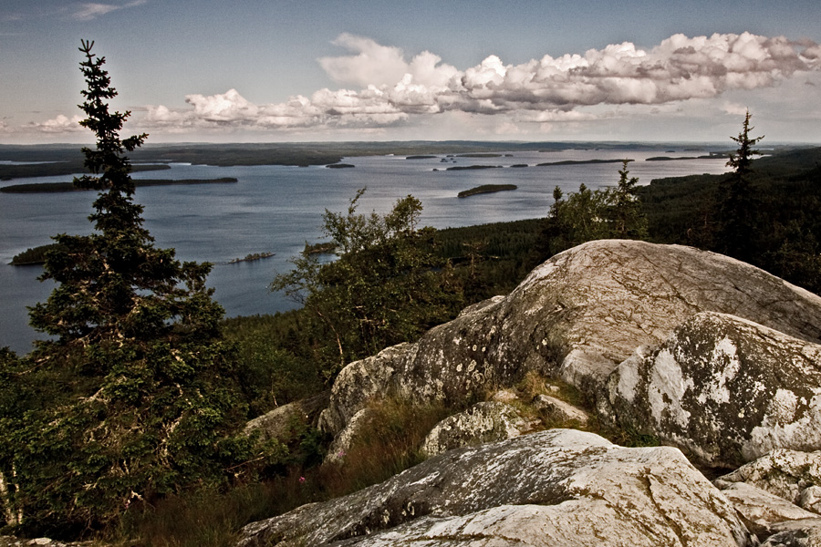 A view from Ukko-Koli to lake Pielinen