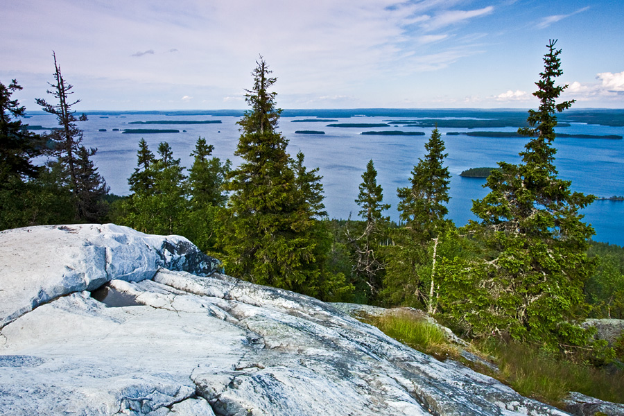 A view from Ukko-Koli to lake Pielinen