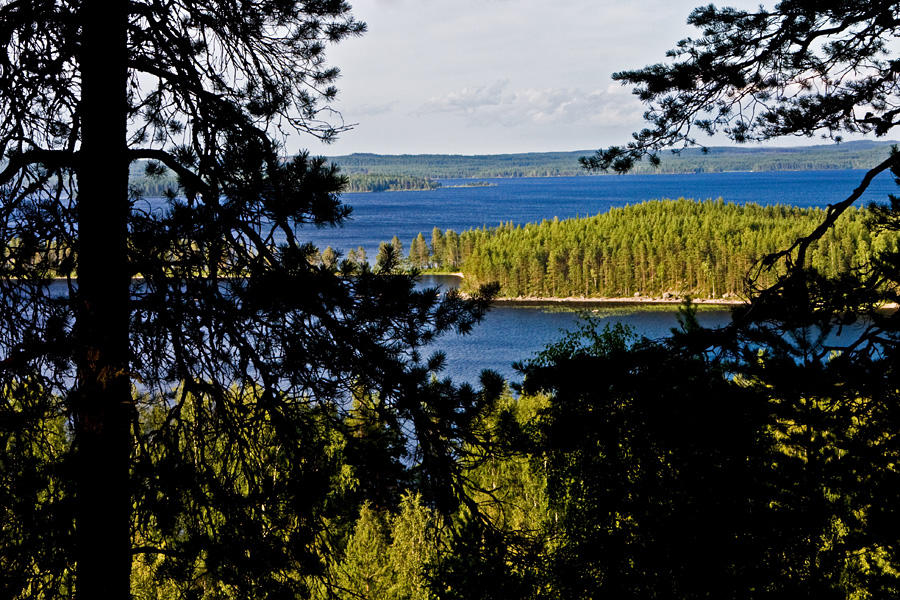 Lake Pielinen and its islands seen from Koli