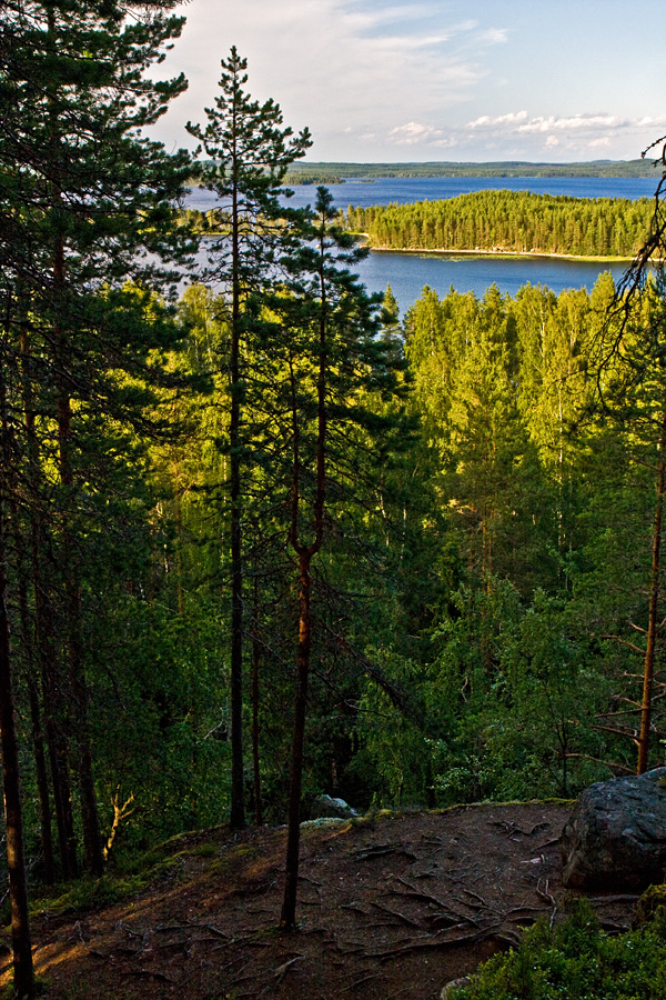 Lake Pielinen and its islands seen from Koli