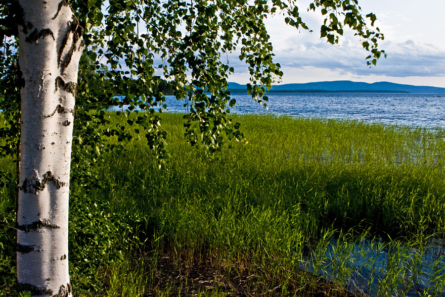 Koli seen from the other side of lake Pielinen