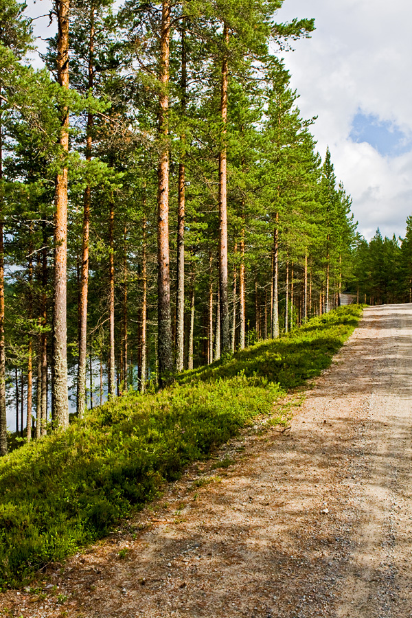 Petkeljrvenharju esker