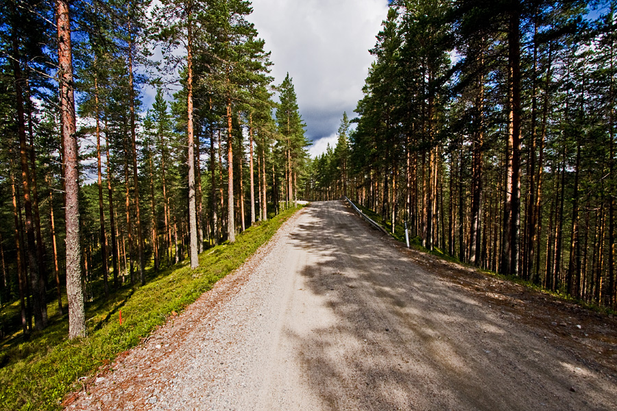 Petkeljrvenharju esker