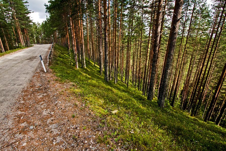 Petkeljrvenharju esker