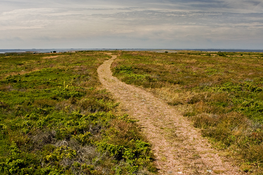 Salpausselk ridge at Jurmo