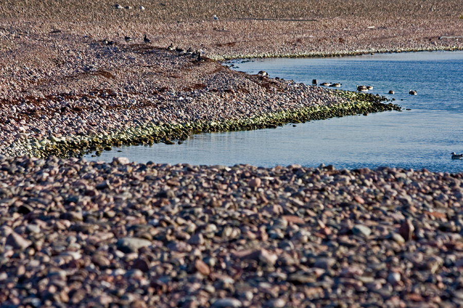 A stony beach
