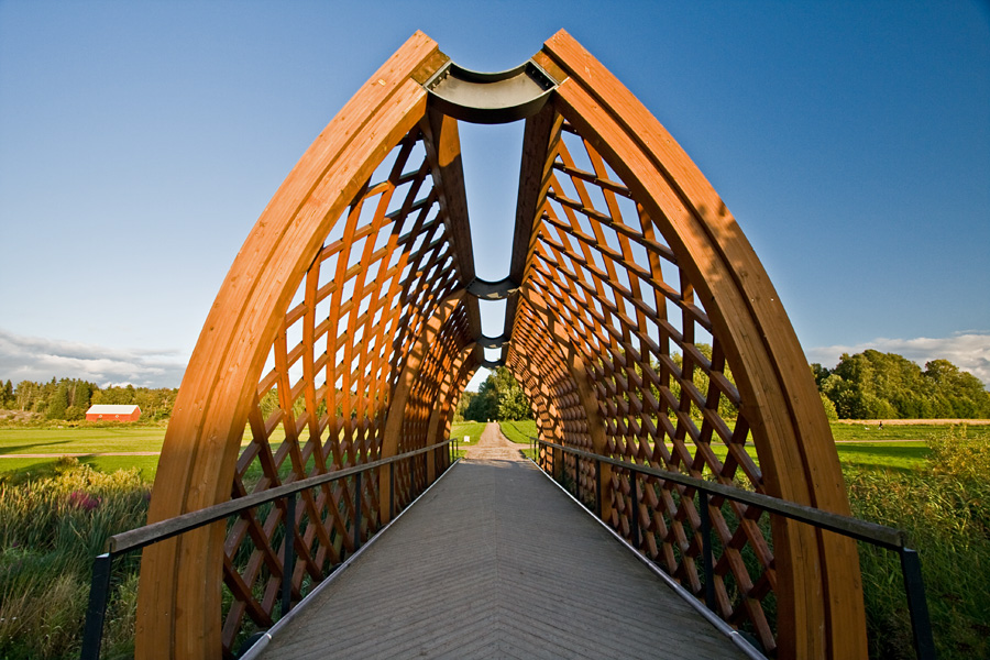 A pedestrian bridge over Viikinoja