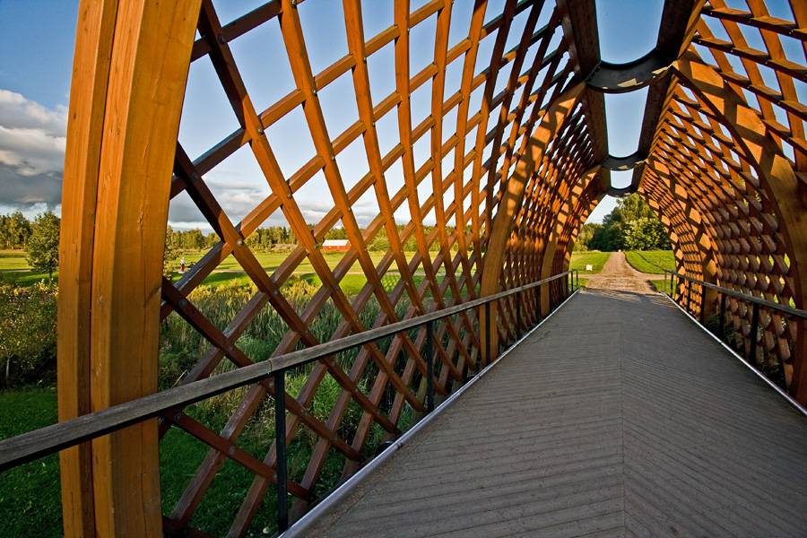 A pedestrian bridge over Viikinoja