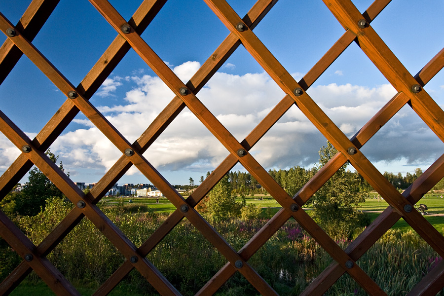 Viikinojanpuisto park seen through the grid wall of a bridge