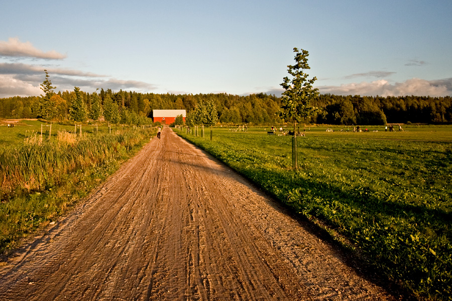 Ilmolanraitti at Viikinojanpuisto park
