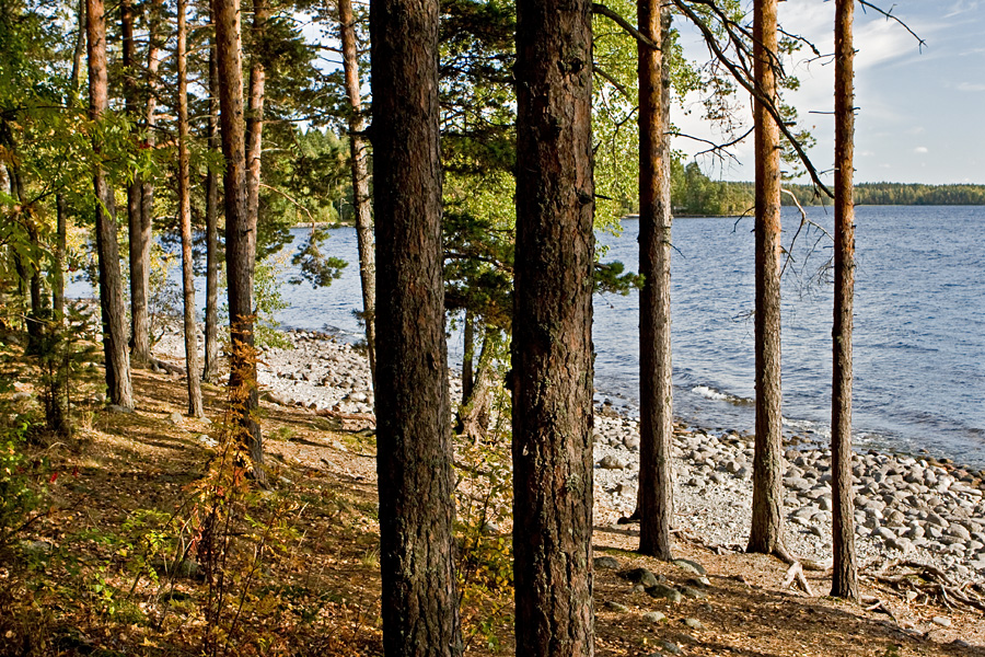 Pulkkilanharju at Pijnne national park