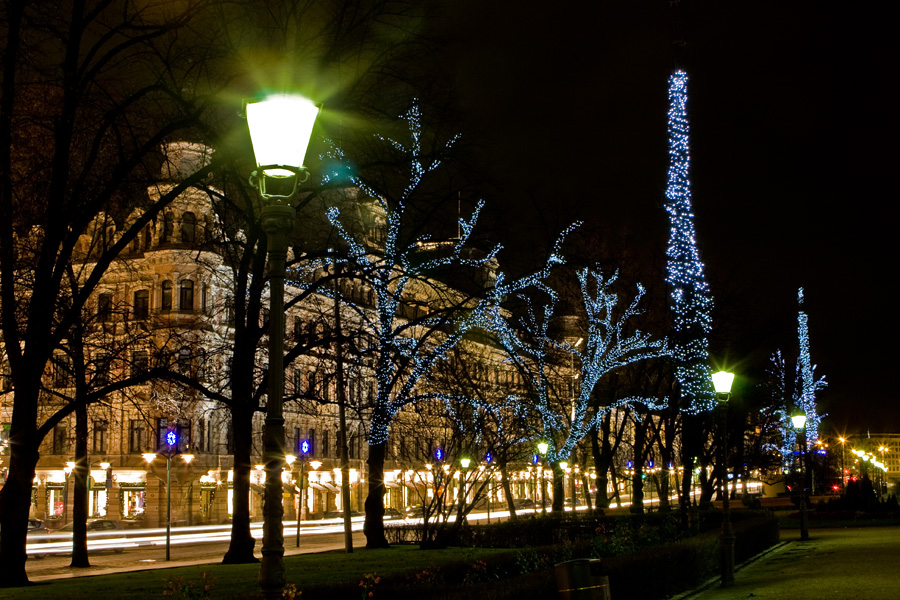 Illuminated trees at Esplanadi park