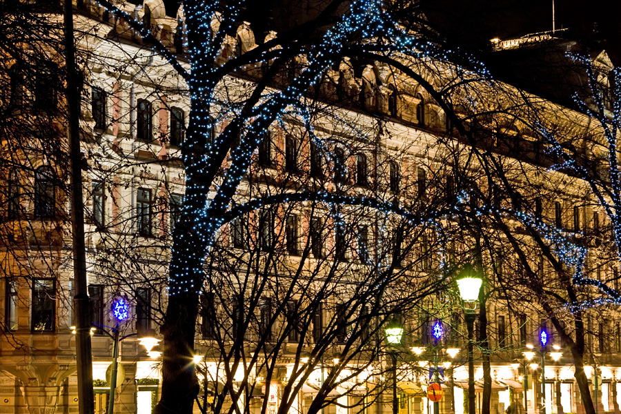 Illuminated trees at Esplanadi park