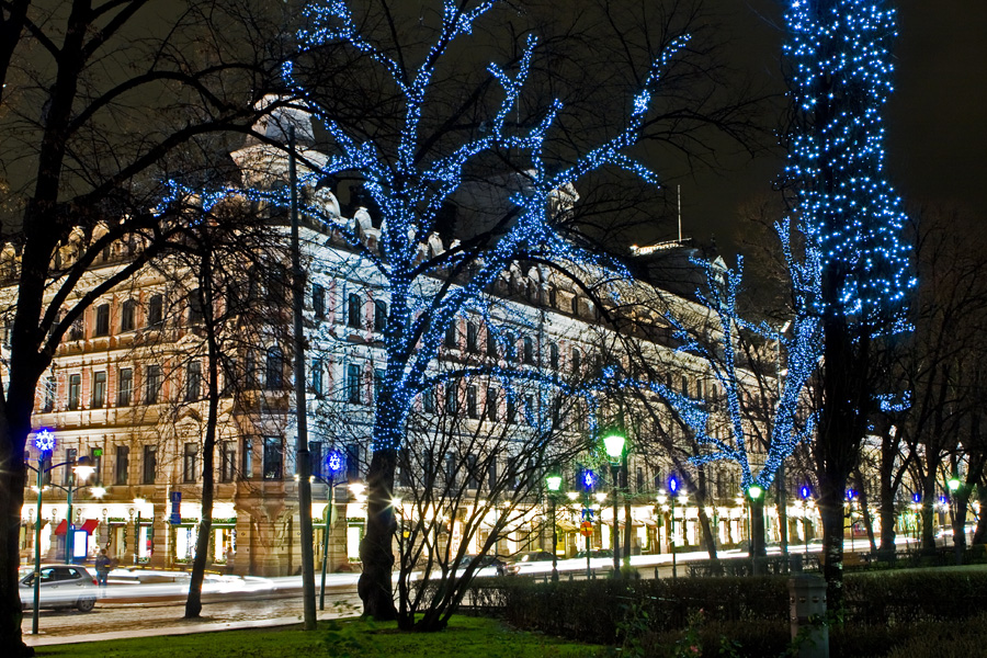 Illuminated trees at Esplanadi park