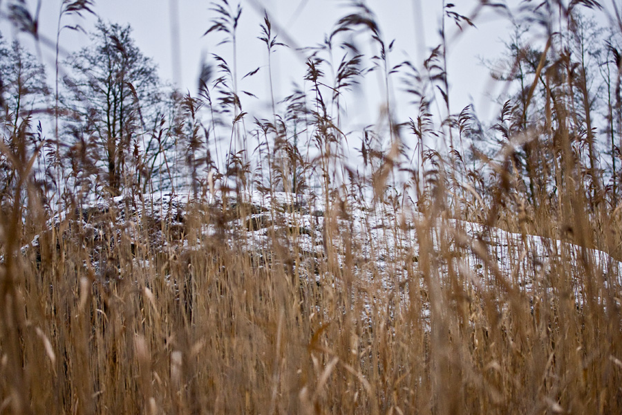 Siirtolohkare Uutelan laguunissa