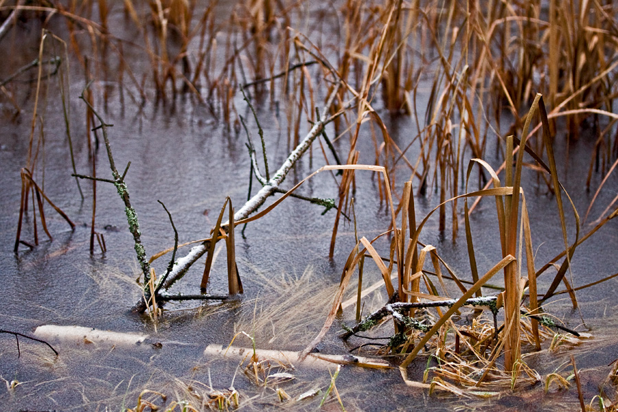 Frozen Uutela lagoon