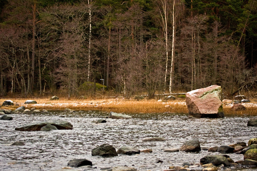 Shoreline at Srkkniemi