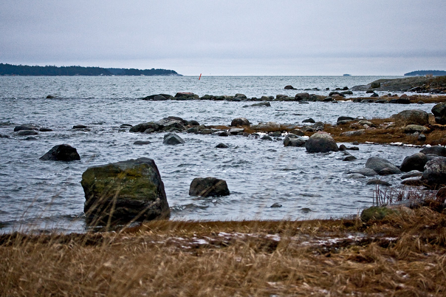 Shoreline at Srkkniemi