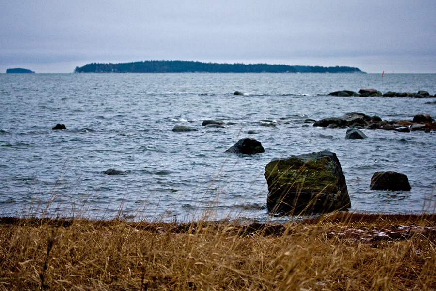 Shoreline at Srkkniemi