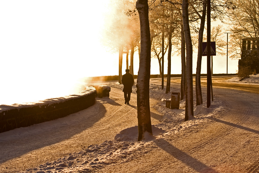 Ehrenstrmintie street bathing in the sun