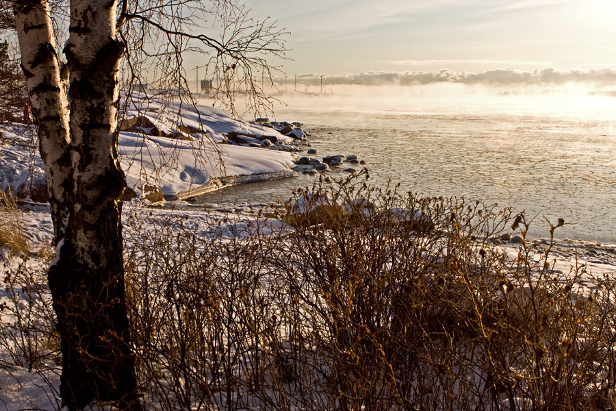 Sea smoke in front of Koirakivenniemi in Lauttasaari