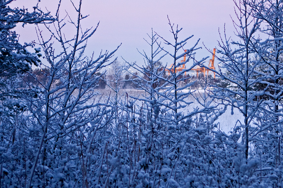 A winter scene from Uutela lagoons to Vuosaari port