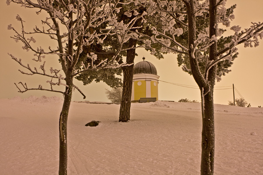 Frosty trees at Kaivopuisto park