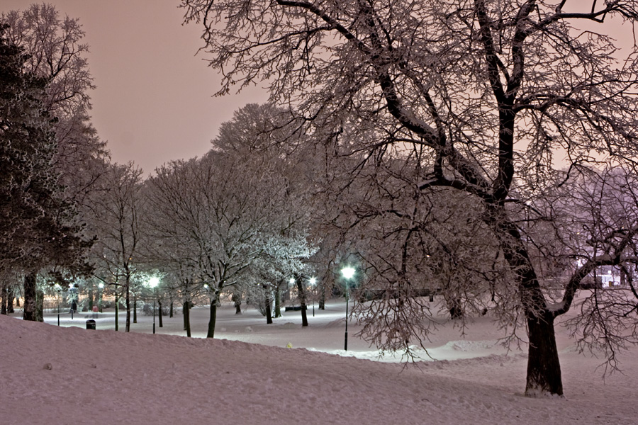 Snowy Kaivopuisto park