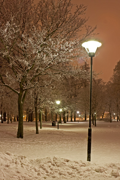 Snowy Kaivopuisto park