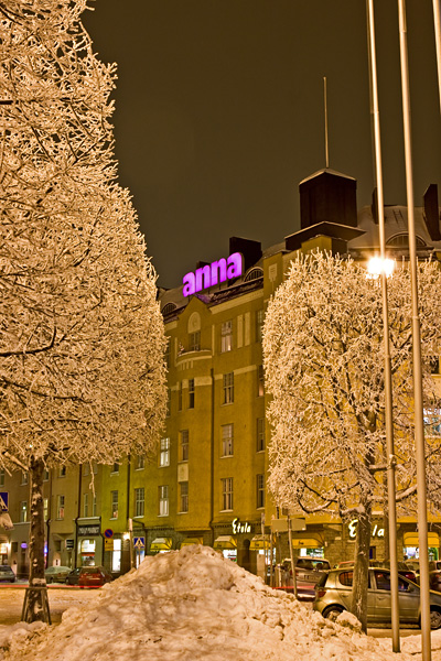 Frosty trees 