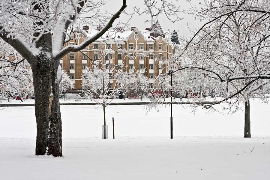 A snowy Tokoinranta
