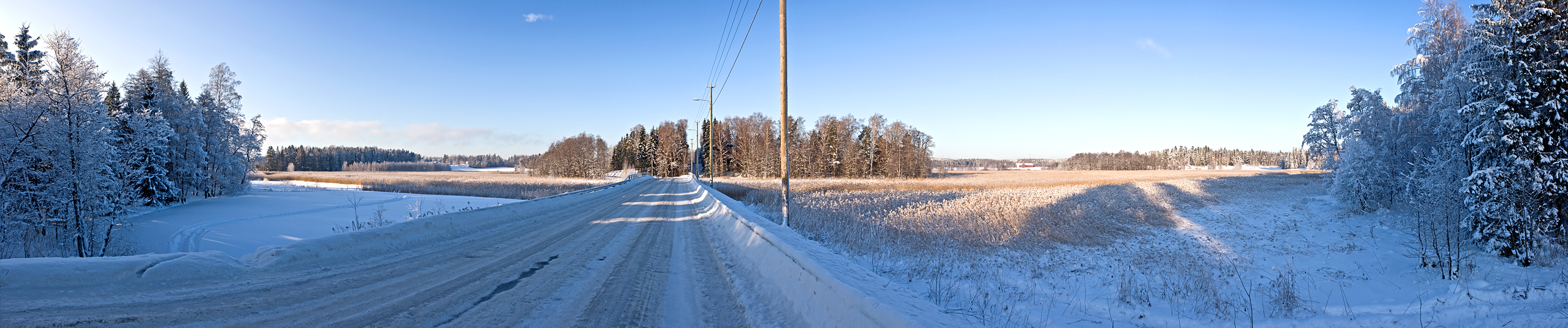 Winter panorama I