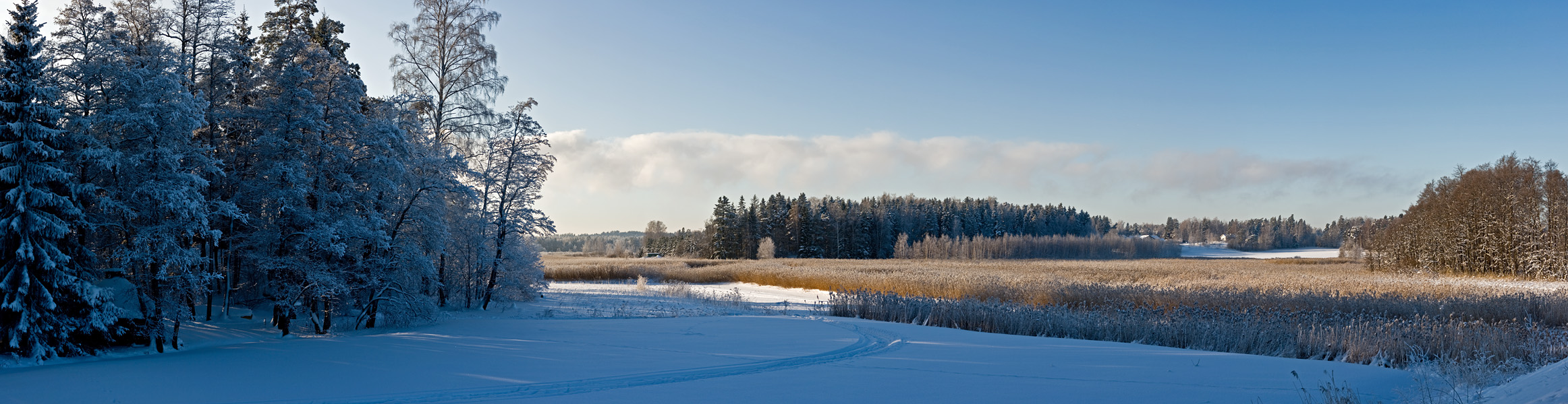 Winter panorama II