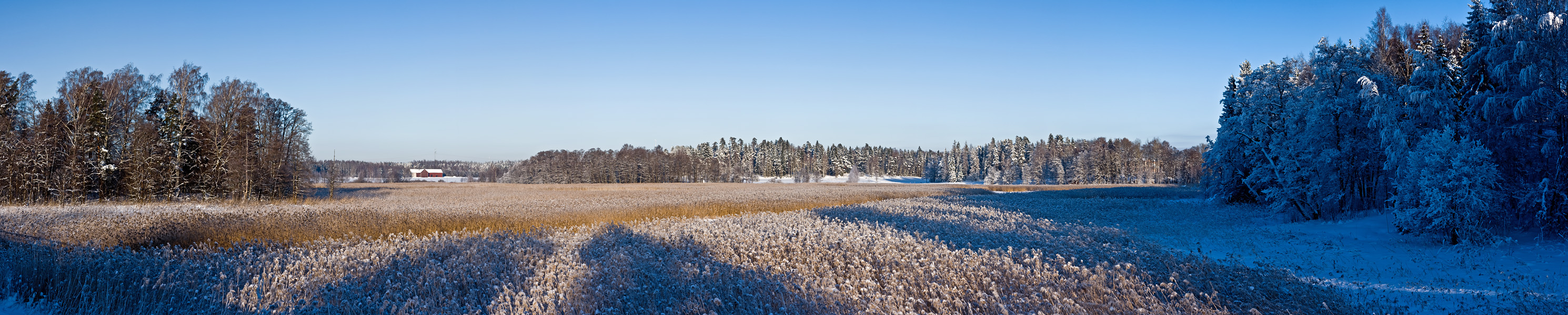 Winter panorama III