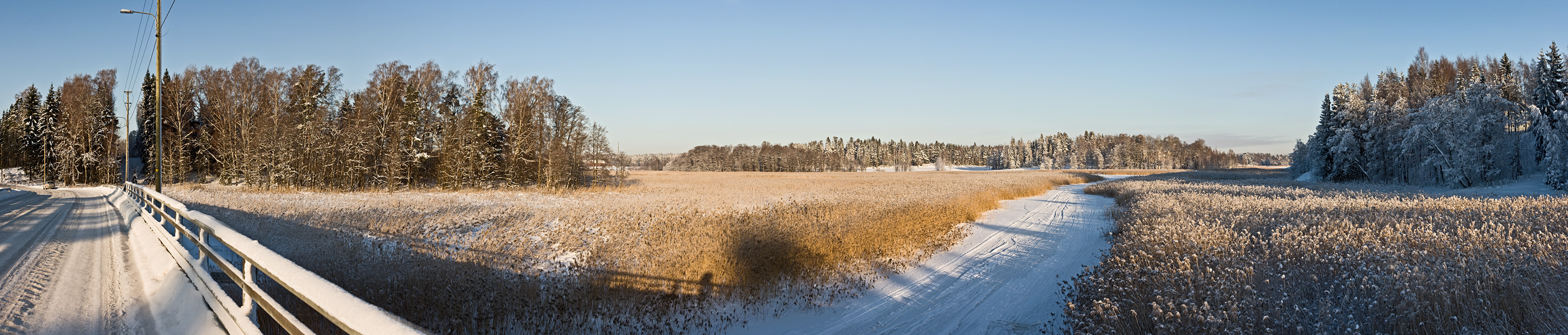 Winter panorama V