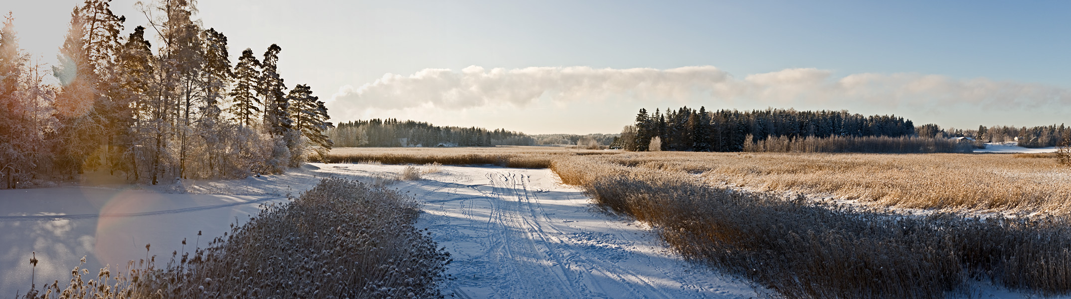 Winter panorama VI